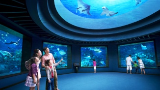 S.E.A. Aquarium